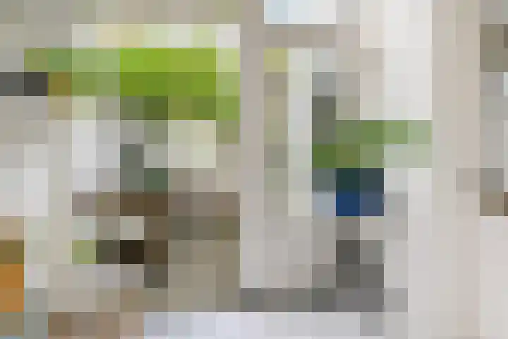 Stevinstraat 26 Den Haag thumbnail 4