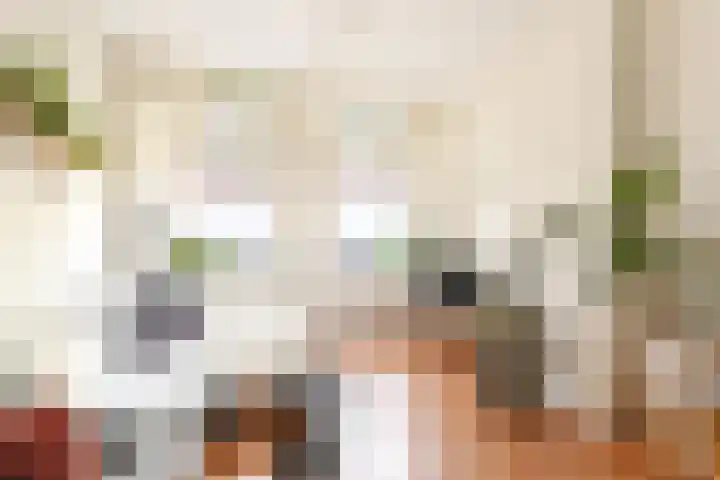 Stevinstraat 26 Den Haag thumbnail 7
