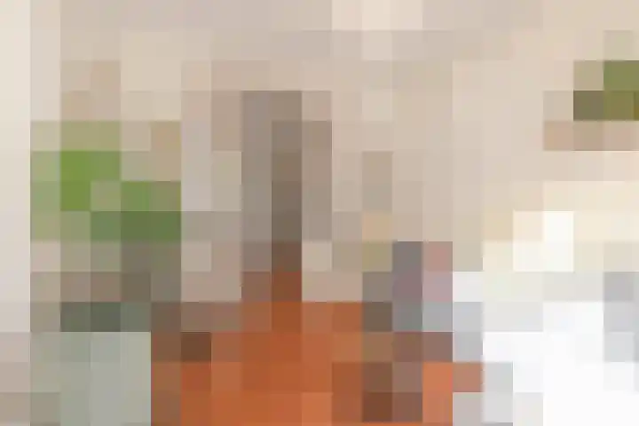 Stevinstraat 26 Den Haag thumbnail 8