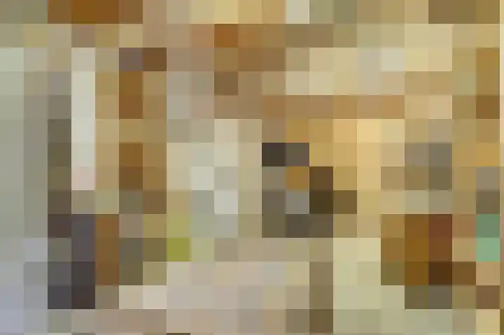 Stevinstraat 28 Middenmeer thumbnail 27