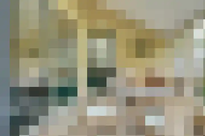 Stevinstraat 28 Middenmeer thumbnail 29