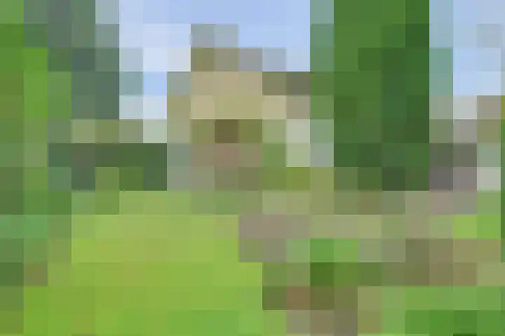 Stevinstraat 28 Middenmeer thumbnail 35