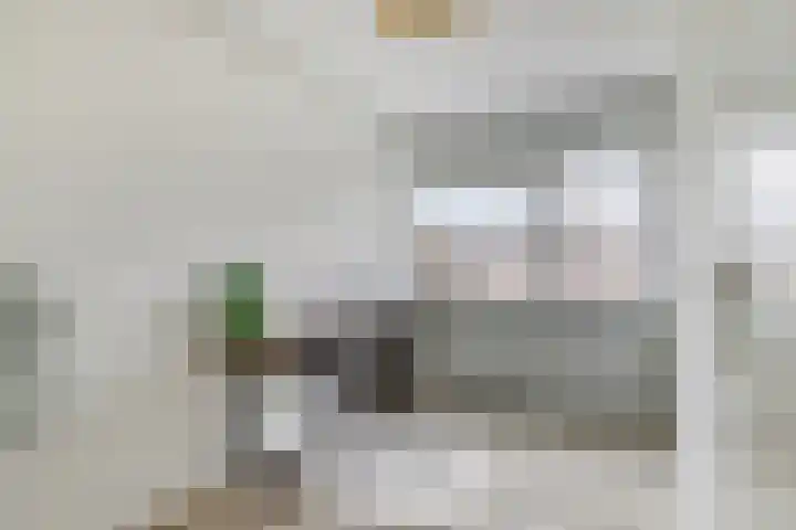 Stevinstraat 32 Schoonhoven thumbnail 15