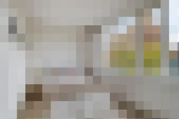 Stevinstraat 32 Schoonhoven thumbnail 20