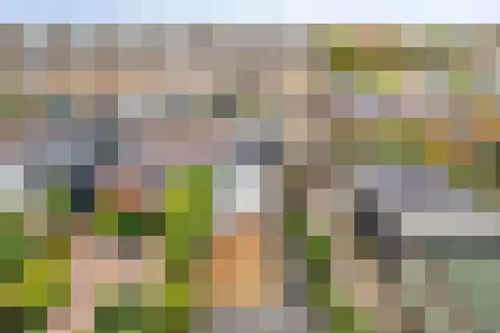 Stevinstraat 32 Schoonhoven thumbnail 26