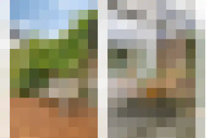 Stevinstraat 32 Schoonhoven thumbnail 28