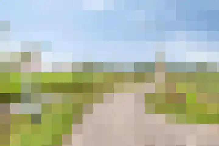 Stevinstraat 32 Schoonhoven thumbnail 37