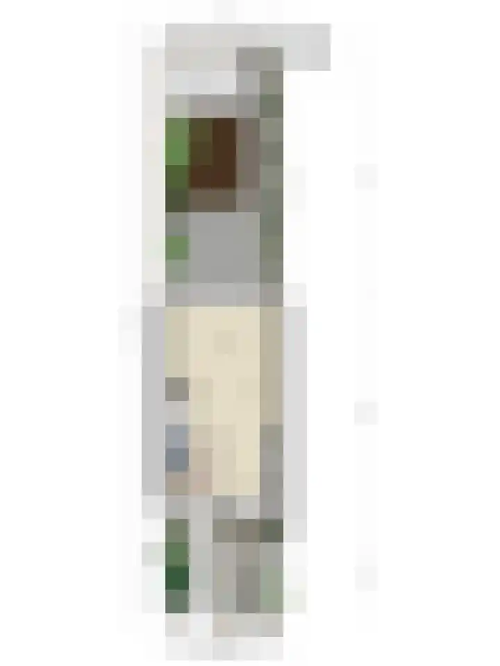 Stevinstraat 32 Schoonhoven thumbnail 38