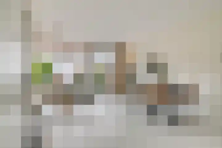 Stevinstraat 32 Schoonhoven thumbnail 7