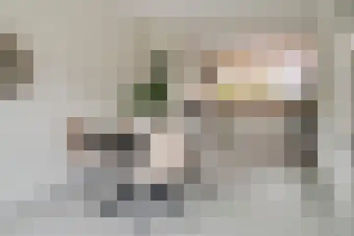 Stevinstraat 32 Schoonhoven thumbnail 9