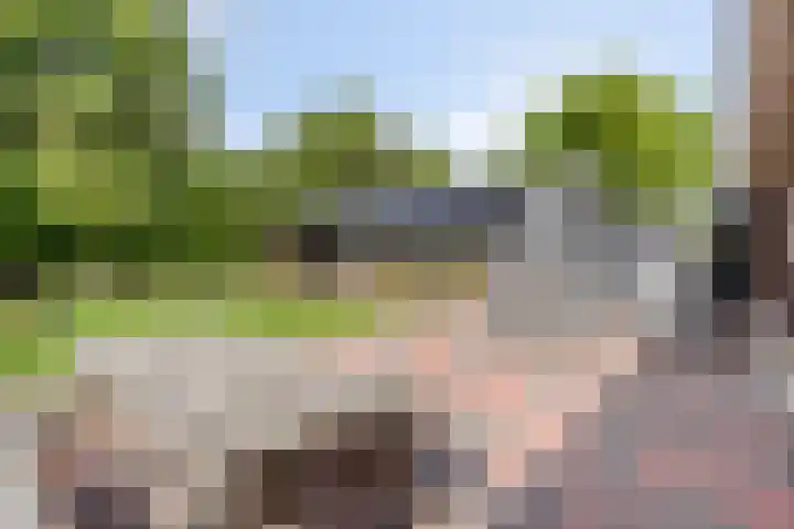 Stevinstraat 4 Middenmeer foto 2
