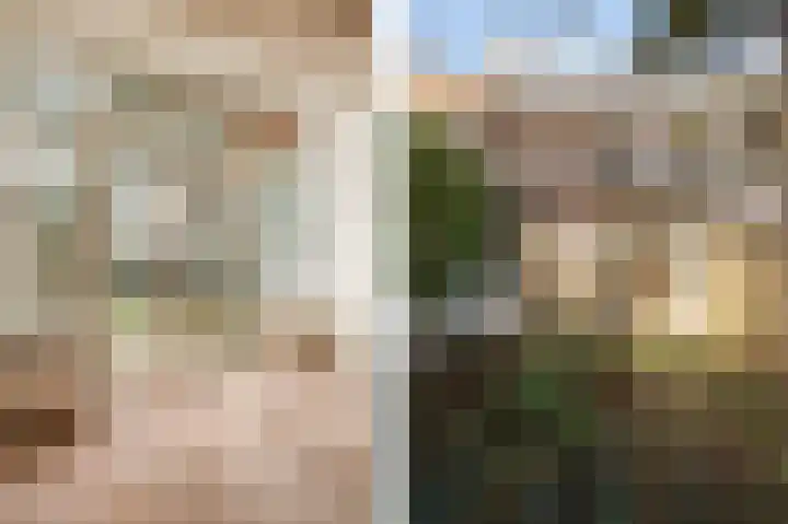 Stevinstraat 79 Den Haag thumbnail 14