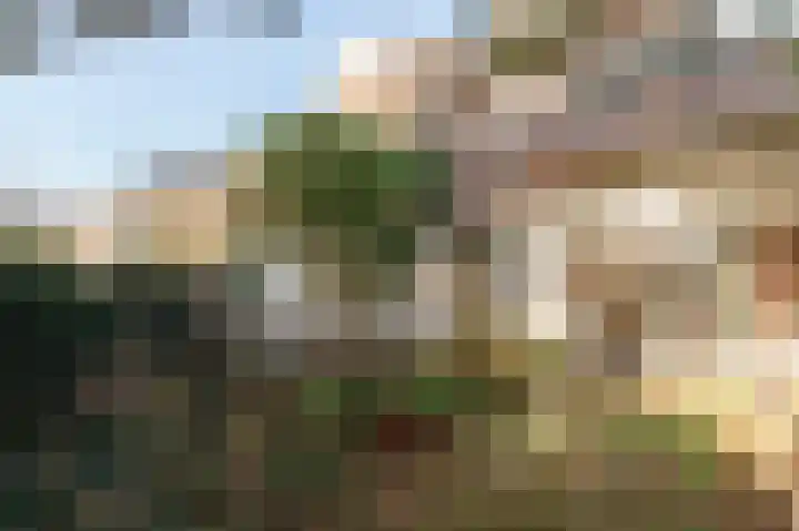 Stevinstraat 79 Den Haag thumbnail 16
