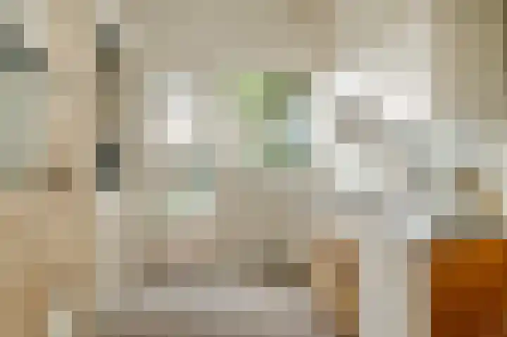 Stevinstraat 79 Den Haag thumbnail 20