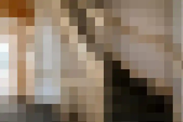 Stevinstraat 79 Den Haag thumbnail 23