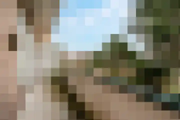 Stevinstraat 79 Den Haag thumbnail 33