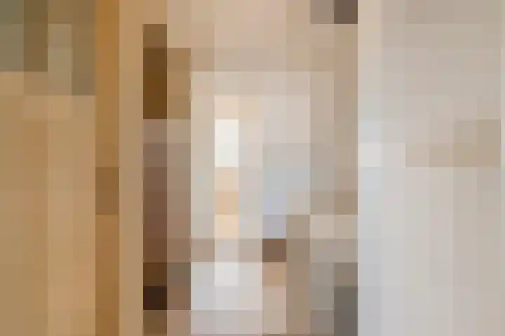 Stevinstraat 79 Den Haag thumbnail 38
