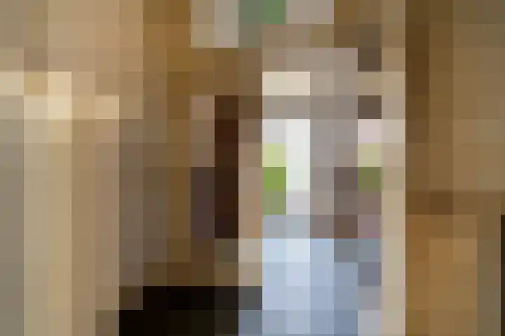 Stevinstraat 79 Den Haag thumbnail 6
