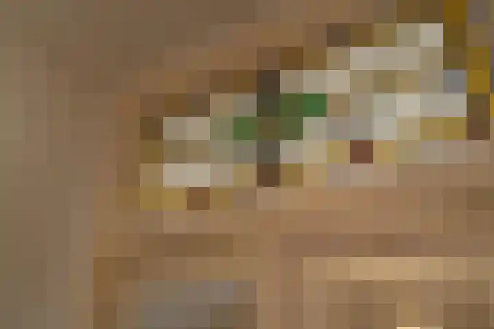 Stevinstraat 79 Den Haag thumbnail 7
