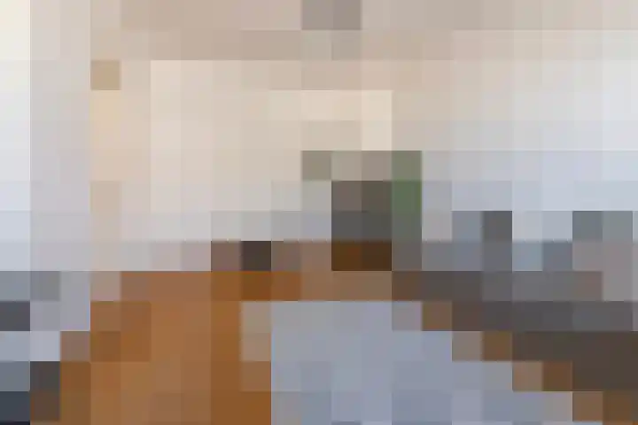 Steynlaan 101 Zeist thumbnail 5