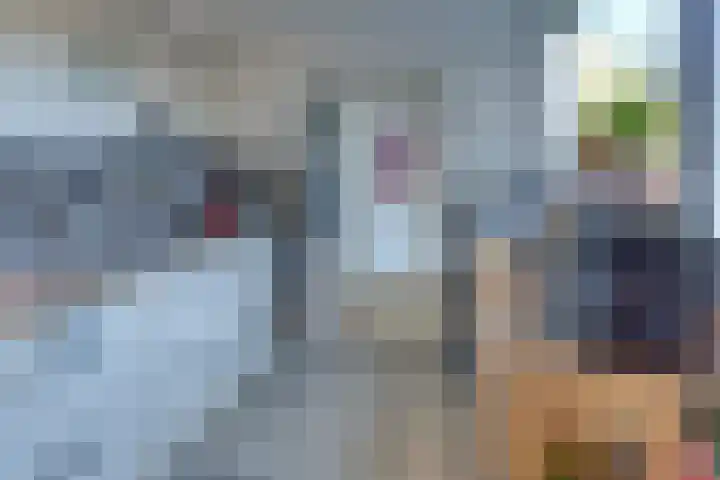 Steynlaan 120 Ermelo thumbnail 17