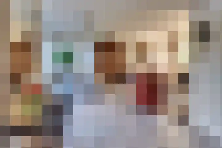Steynlaan 120 Ermelo thumbnail 21
