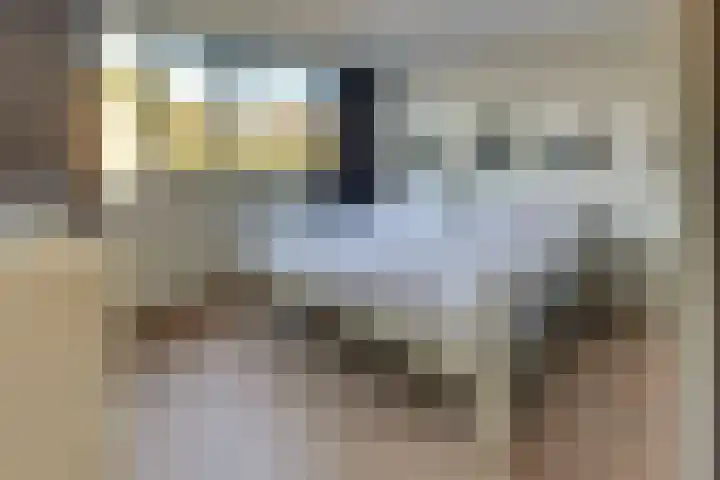 Steynlaan 120 Ermelo thumbnail 31