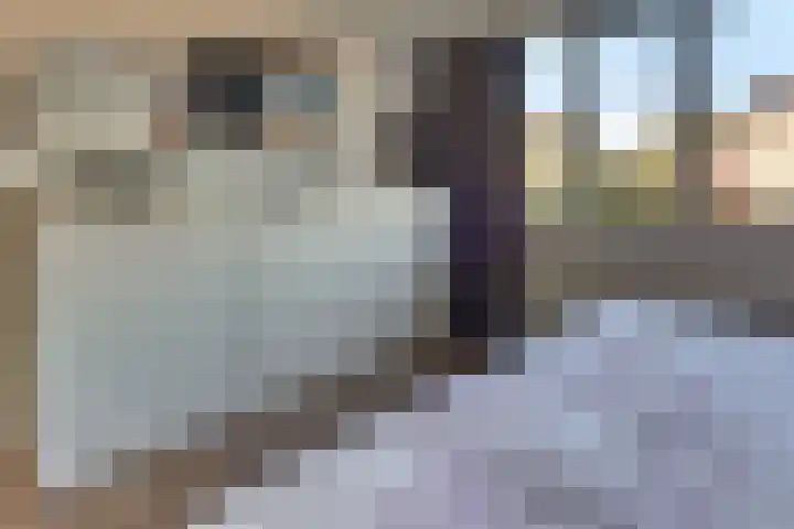 Steynlaan 120 Ermelo thumbnail 32