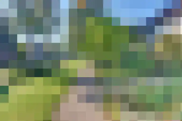 Steynlaan 120 Ermelo thumbnail 68
