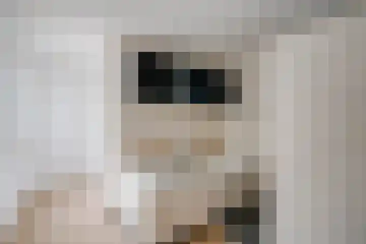 Steynlaan 26 Zeist thumbnail 14