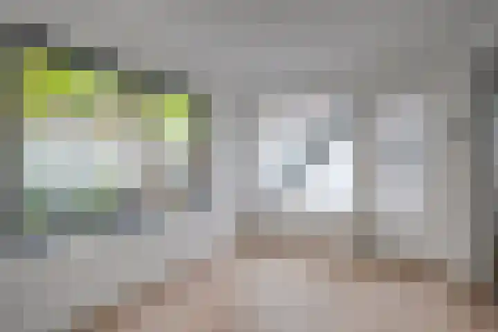 Steynlaan 26 Zeist thumbnail 19