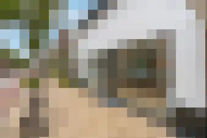 Steynlaan 26 Zeist thumbnail 4