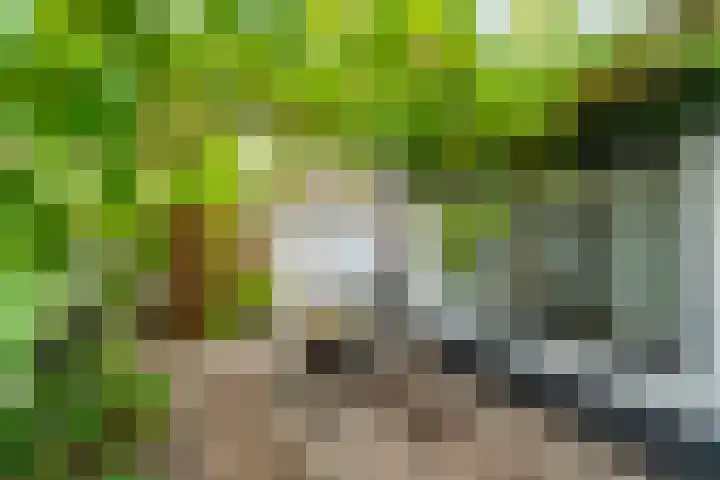 Steynlaan 26 Zeist thumbnail 5