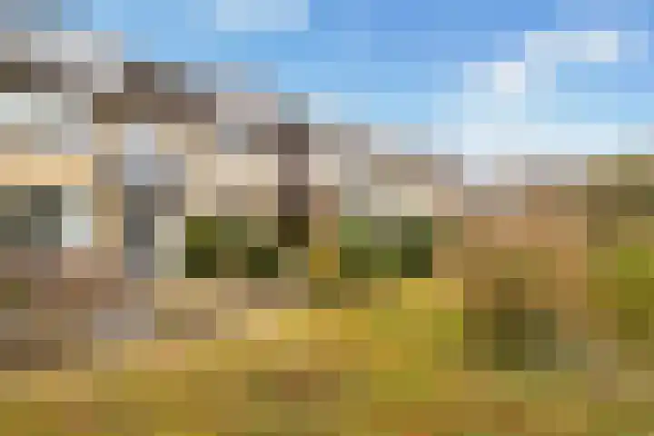 Steynlaan 36 Ermelo thumbnail 35