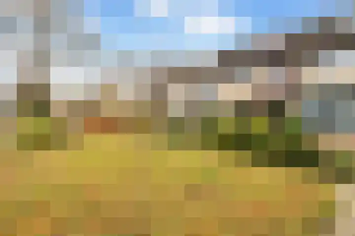 Steynlaan 36 Ermelo thumbnail 36