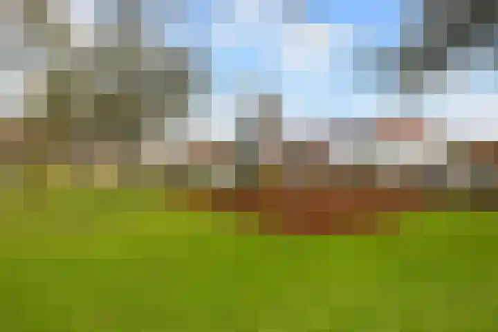 Steynlaan 36 Ermelo thumbnail 37