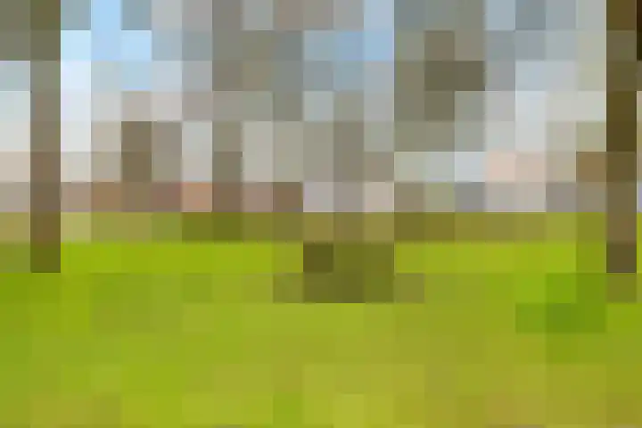 Steynlaan 36 Ermelo thumbnail 38