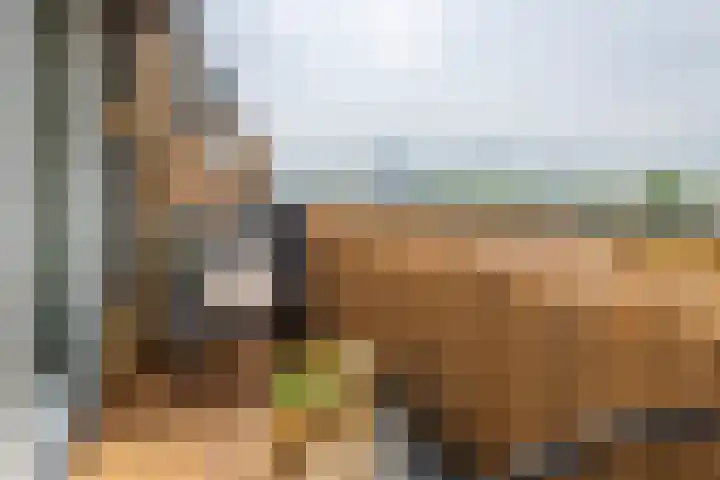 Steynlaan 42 A Zeist thumbnail 15