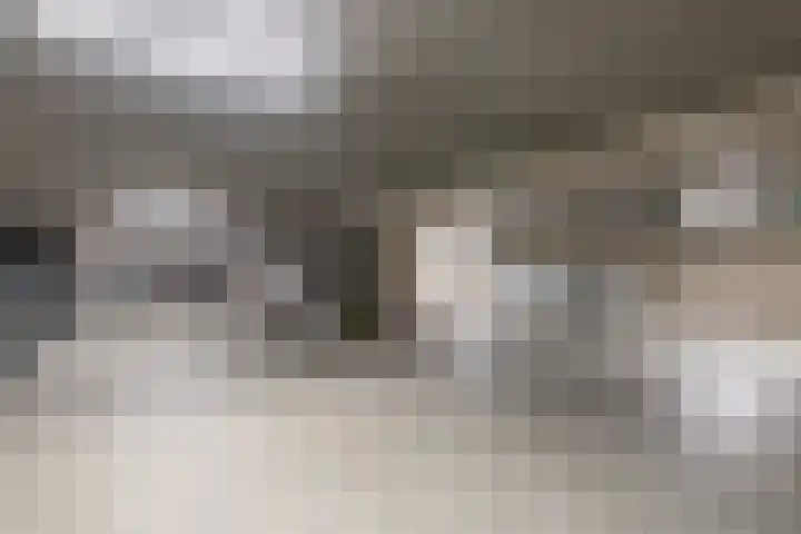 Steynlaan 42 A Zeist thumbnail 22