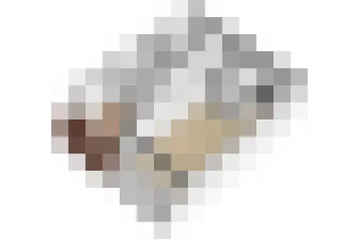 Steynlaan 42 A Zeist thumbnail 26