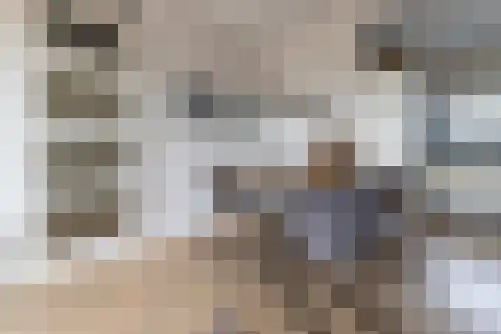 Steynlaan 42 A Zeist thumbnail 6