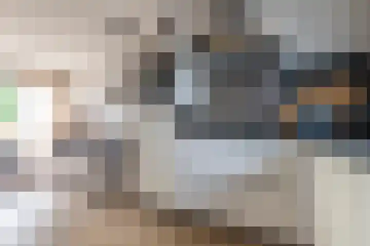 Steynlaan 42 A Zeist thumbnail 8