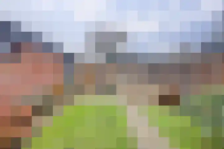 Steynlaan 88 Ermelo thumbnail 36