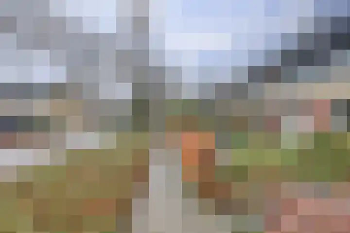 Steynlaan 88 Ermelo thumbnail 37