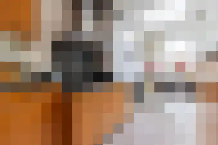 Stichtse Kade 14 Ankeveen thumbnail 13