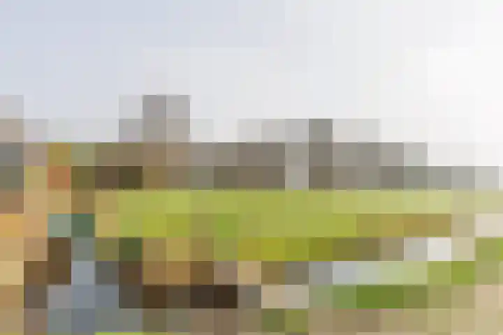 Stichtse Kade 14 Ankeveen thumbnail 31