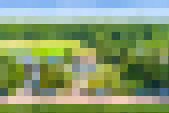 Stichtse Kade 27 Ankeveen thumbnail 40