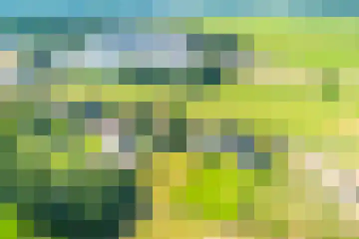 Stichtse Kade 27 Ankeveen thumbnail 5