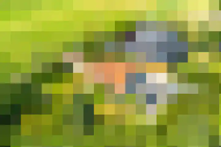 Stichtse Kade 27 Ankeveen thumbnail 9