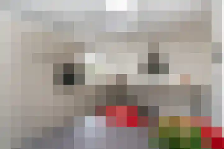 Stichtse Kade 28 a Ankeveen thumbnail 14